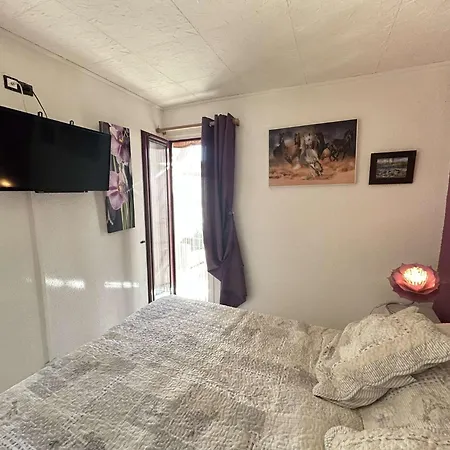 Cap D'agde 34- T2 Jardin - De Saint Martin Ct415-002 Apartamento Agde